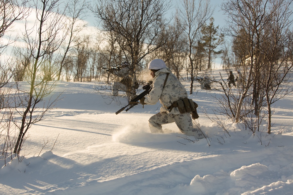 Marine Rotational Force Europe (MRF-E) conduct live fire ranges