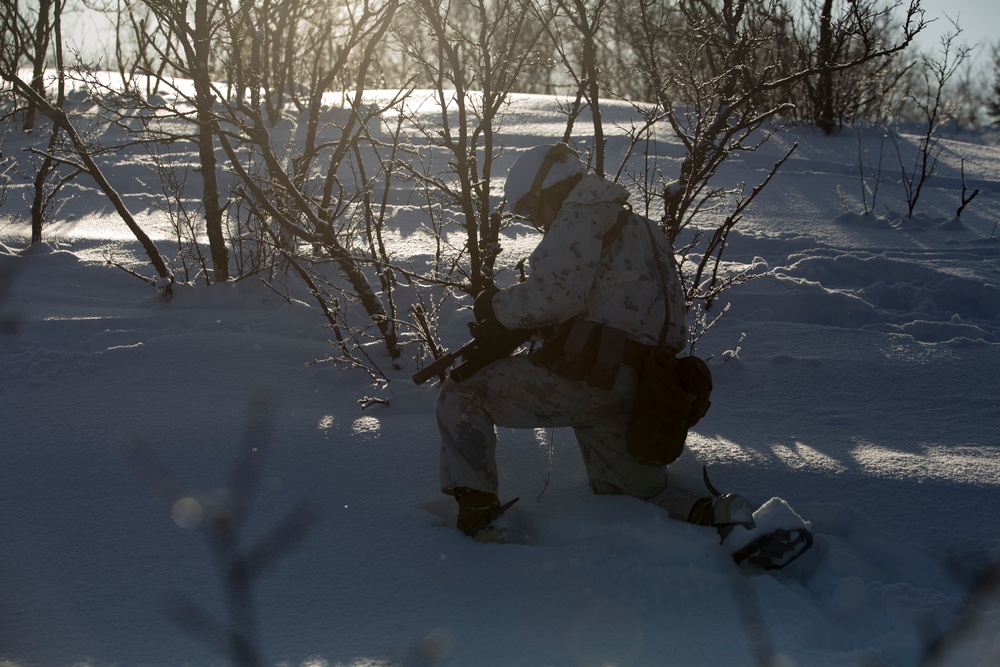 Marine Rotational Force Europe (MRF-E) conducts live fire range