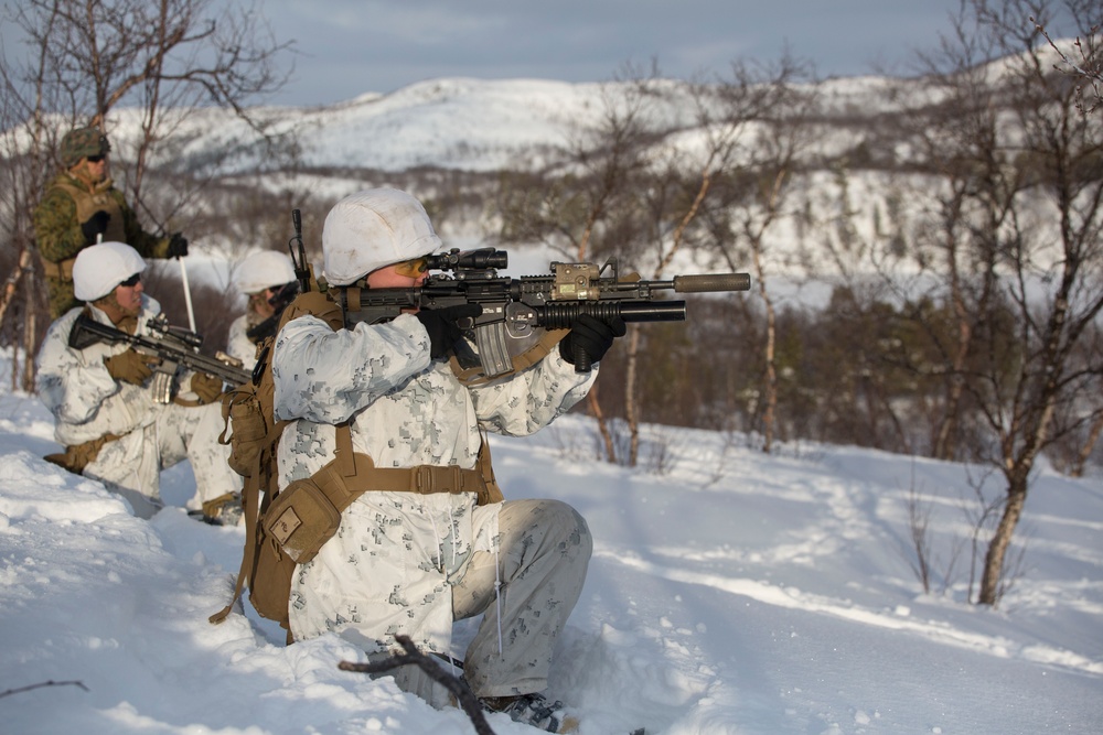 Marine Rotational Force Europe (MRF-E) conducts live fire range