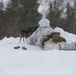 Marine Rotational Force Europe (MRF-E) conduct live fire ranges