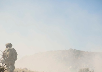 Sqaud Plants Bangalore in Cover of Smoke