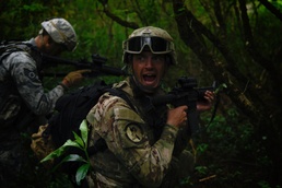 Cope North 17 Security Forces FTX