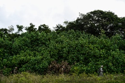 Cope North 17 Security Forces FTX