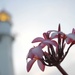 Centennial of Diamond Head Lighthouse – Oahu Art Contest 2017