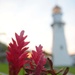 Centennial of Diamond Head Lighthouse – Oahu Art Contest 2017