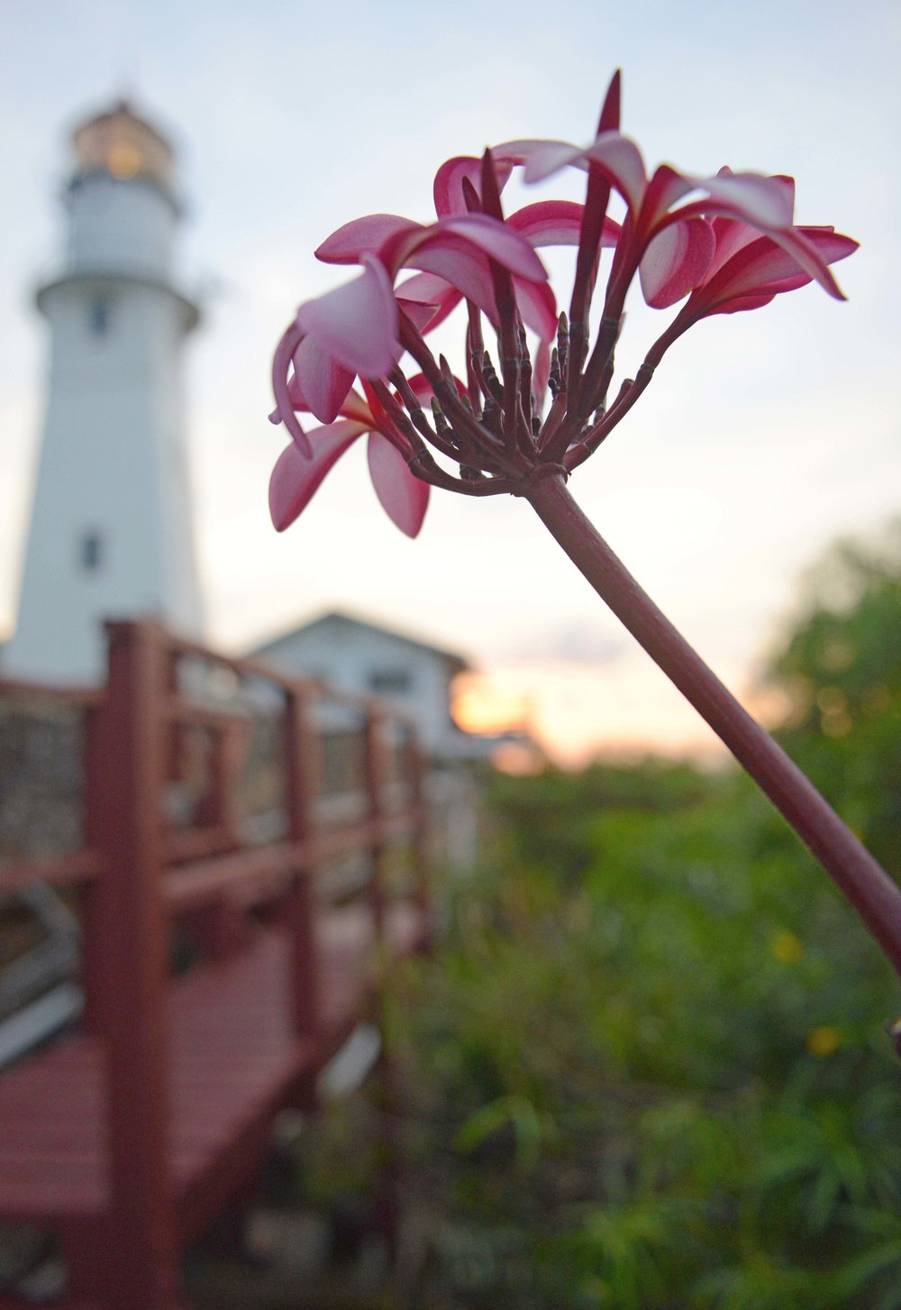 Centennial of Diamond Head Lighthouse – Oahu Art Contest 2017