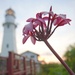 Centennial of Diamond Head Lighthouse – Oahu Art Contest 2017