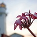 Centennial of Diamond Head Lighthouse – Oahu Art Contest 2017