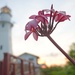 Centennial of Diamond Head Lighthouse – Oahu Art Contest 2017