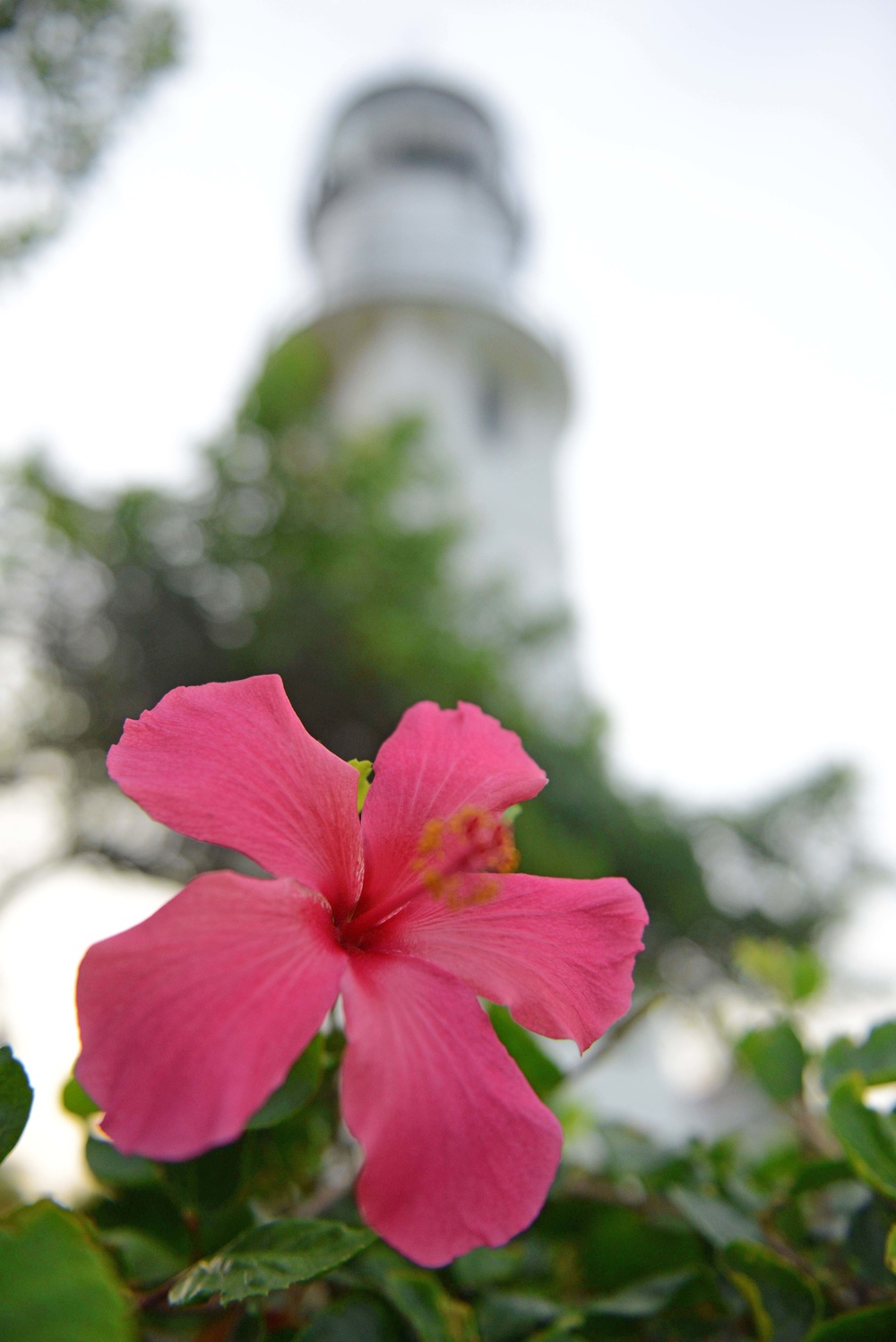 Centennial of Diamond Head Lighthouse – Oahu Art Contest 2017