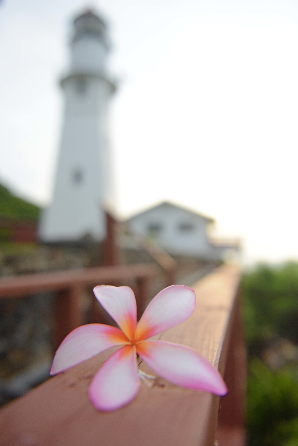 Centennial of Diamond Head Lighthouse – Oahu Art Contest 2017