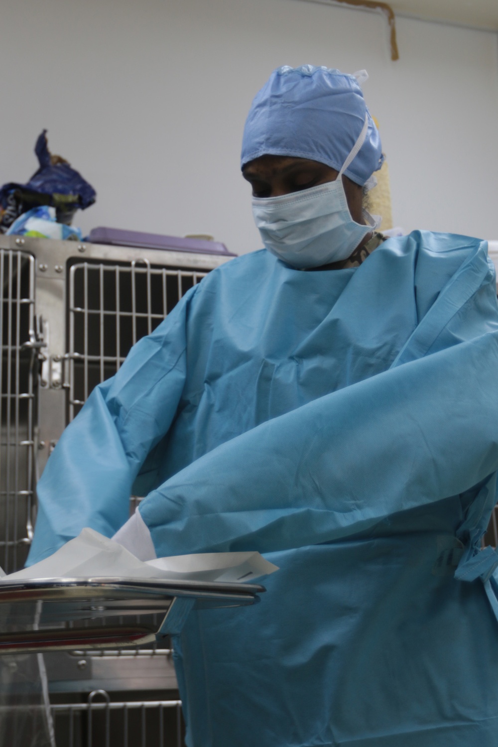 Veterinarian services a mission more than animals