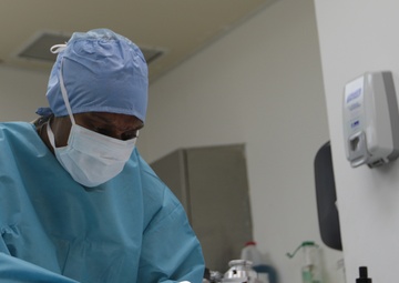 Veterinarian services a mission more than animals