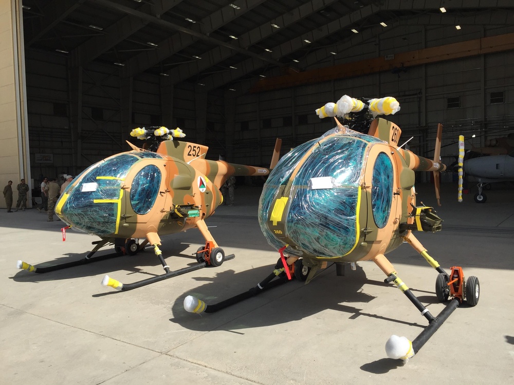 MD-530 Cayuse Warrior Helicopters