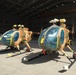 MD-530 Cayuse Warrior Helicopters