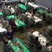 LRS Airmen and families potluck