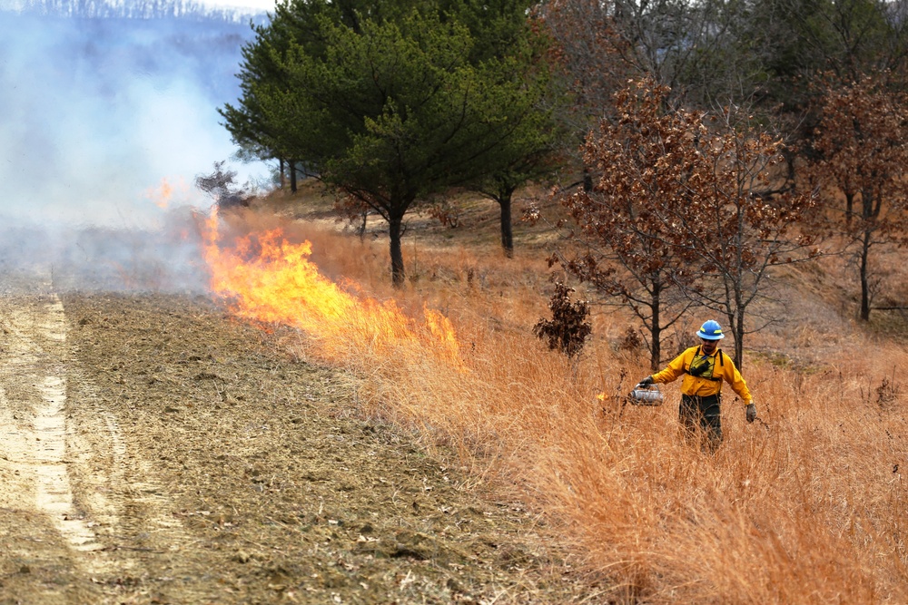 Fort McCoy uses prescribed burns to cut wildfire risk, improve habitats