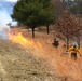 Fort McCoy uses prescribed burns to cut wildfire risk, improve habitats