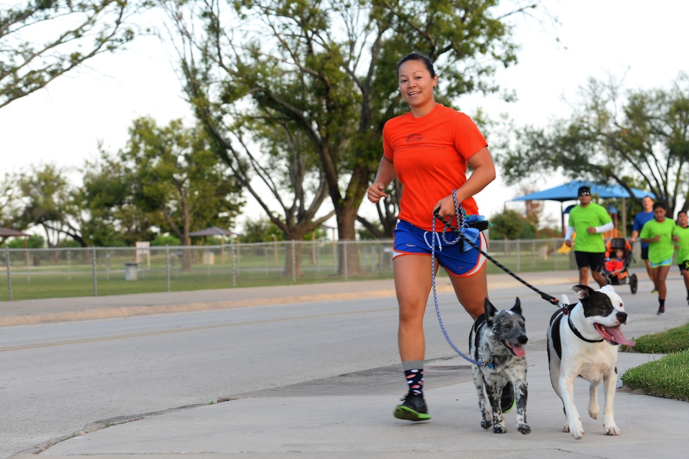 Walkin' the dogs