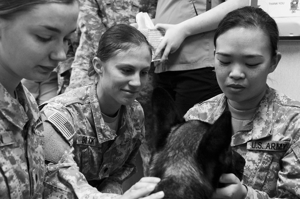 MWD Riki’s Last Call