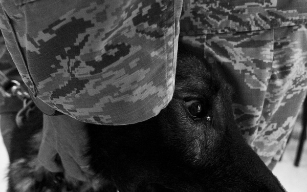 MWD Riki’s Last Call