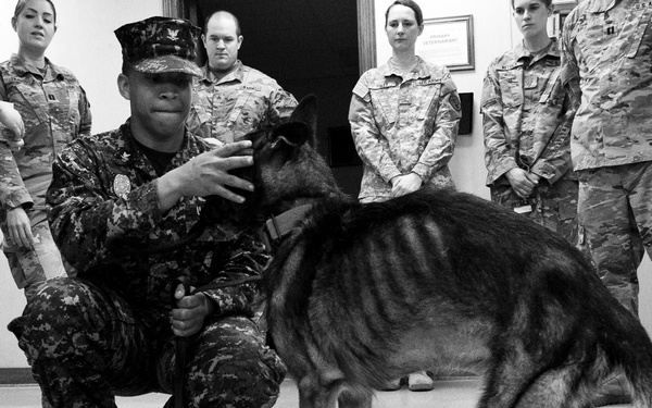 MWD Riki’s Last Call