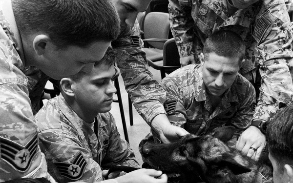 MWD Riki’s Last Call