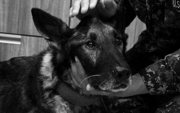 MWD Riki’s Last Call