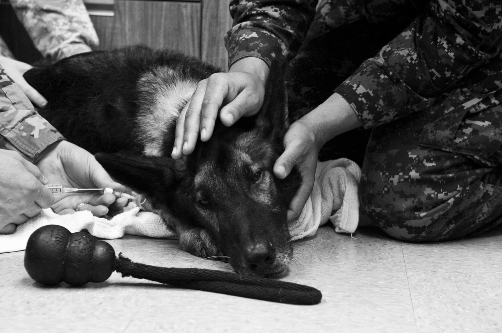MWD Riki’s Last Call