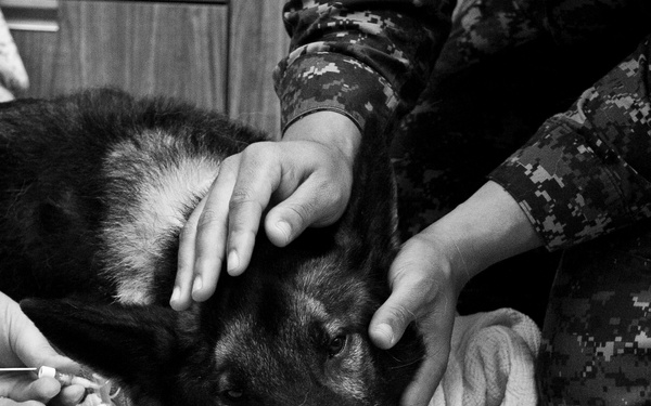 MWD Riki’s Last Call