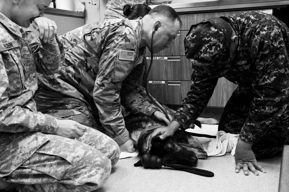 MWD Riki’s Last Call