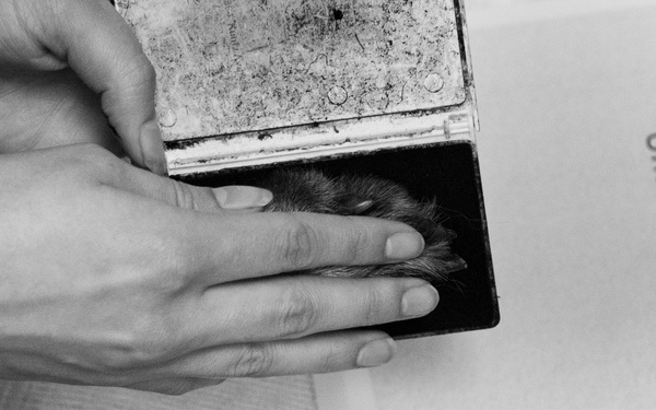 MWD Riki’s Last Call