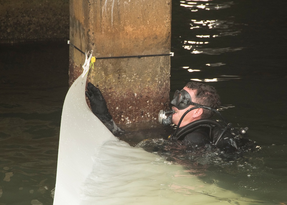 Joint team Demonstrates New Repair Technology to Benefit Indo-Asia-Pacific