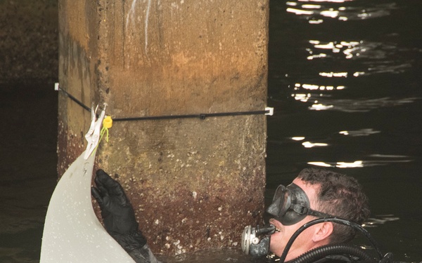 Joint team Demonstrates New Repair Technology to Benefit Indo-Asia-Pacific