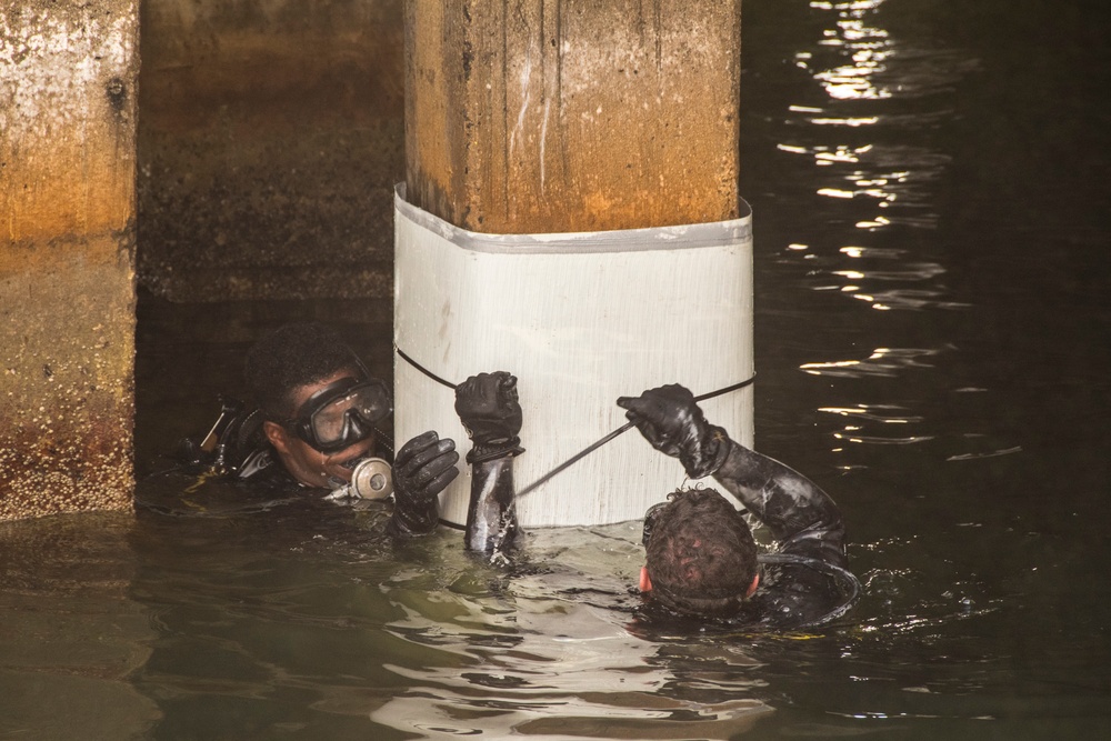 Joint team Demonstrates New Repair Technology to Benefit Indo-Asia-Pacific