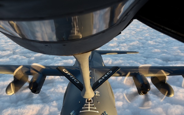 Emerald Warrior 2017