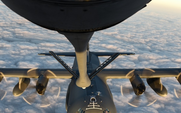 Emerald Warrior 2017