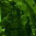 Emerald Warrior 17