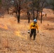 Fort McCoy uses prescribed burns to cut wildfire risk, improve habitats