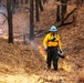 Fort McCoy uses prescribed burns to cut wildfire risk, improve habitats