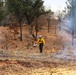 Fort McCoy uses prescribed burns to cut wildfire risk, improve habitats