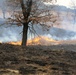 Fort McCoy uses prescribed burns to cut wildfire risk, improve habitats