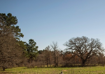 Forging Future Leaders