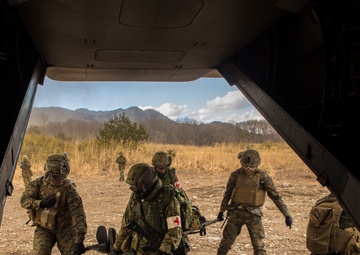 PRESS RELEASE: U.S.-Japanese Conduct Aerial Integration Training during Forest Light 17-1