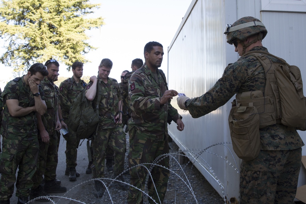 Marines conduct ECC/NEO training with NATO Allies
