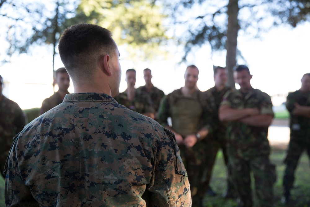 Marines conduct ECC/NEO training with NATO Allies