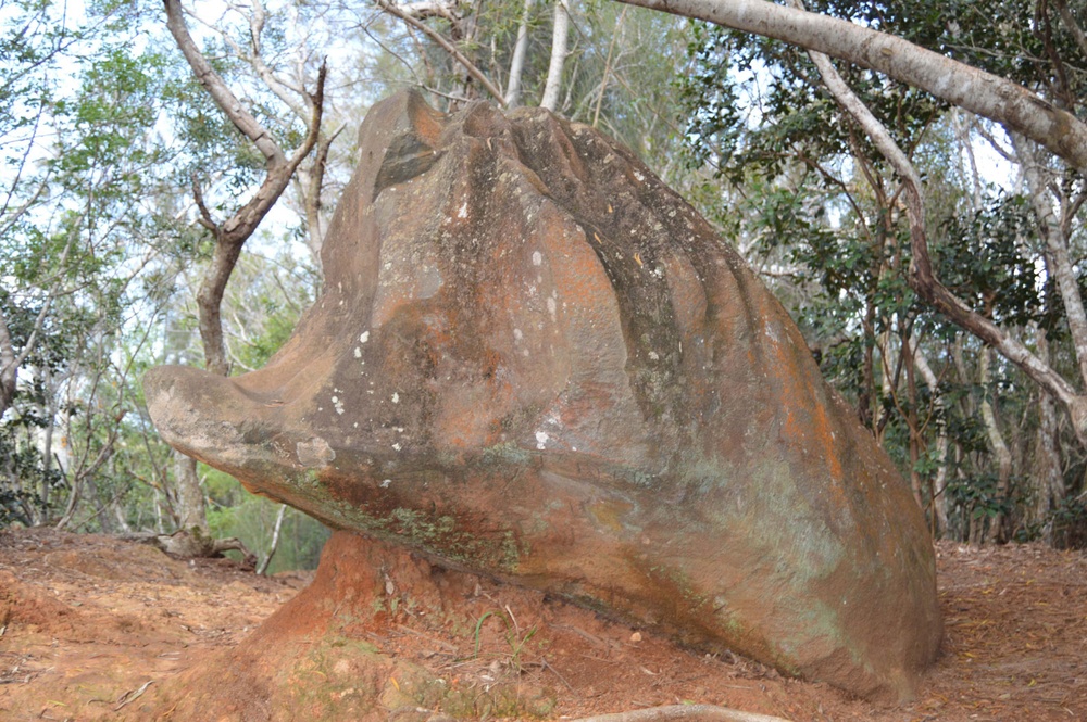 History accompanies weekend Kolekole run