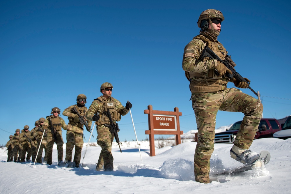 3rd Air Support Operations Squadron conduct Arctic live-fire training