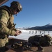 3rd Air Support Operations Squadron conduct Arctic live-fire training