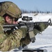 3rd Air Support Operations Squadron conduct Arctic live-fire training